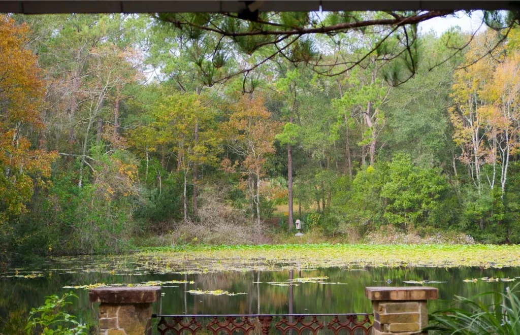 Jacksonville Arboretum & Gardens